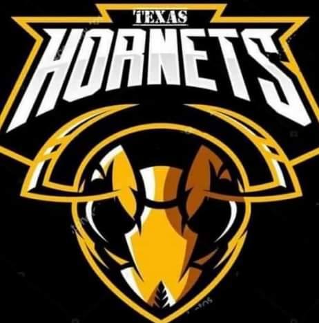 hornets football logo